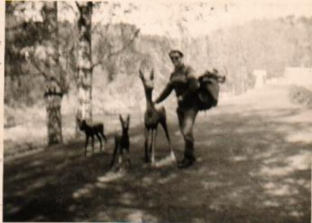 Images/Denmark 4.jpg